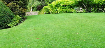 Avantages d’une tonte de pelouse