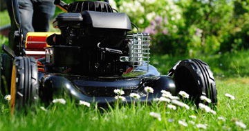 Des jardiniers formés pour tondre vos pelouses 