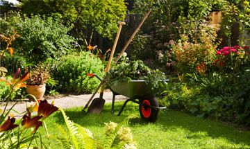 travaux de jardin avec notre équipe en élagage 95